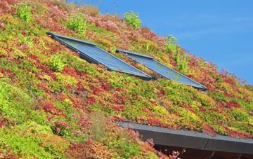 Huish Champflower living roof systems